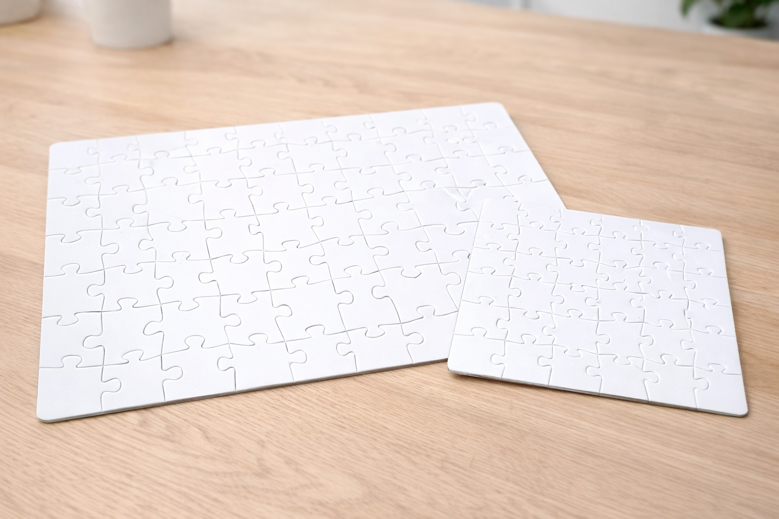 PUZZLE TRAIL FUN DUO
